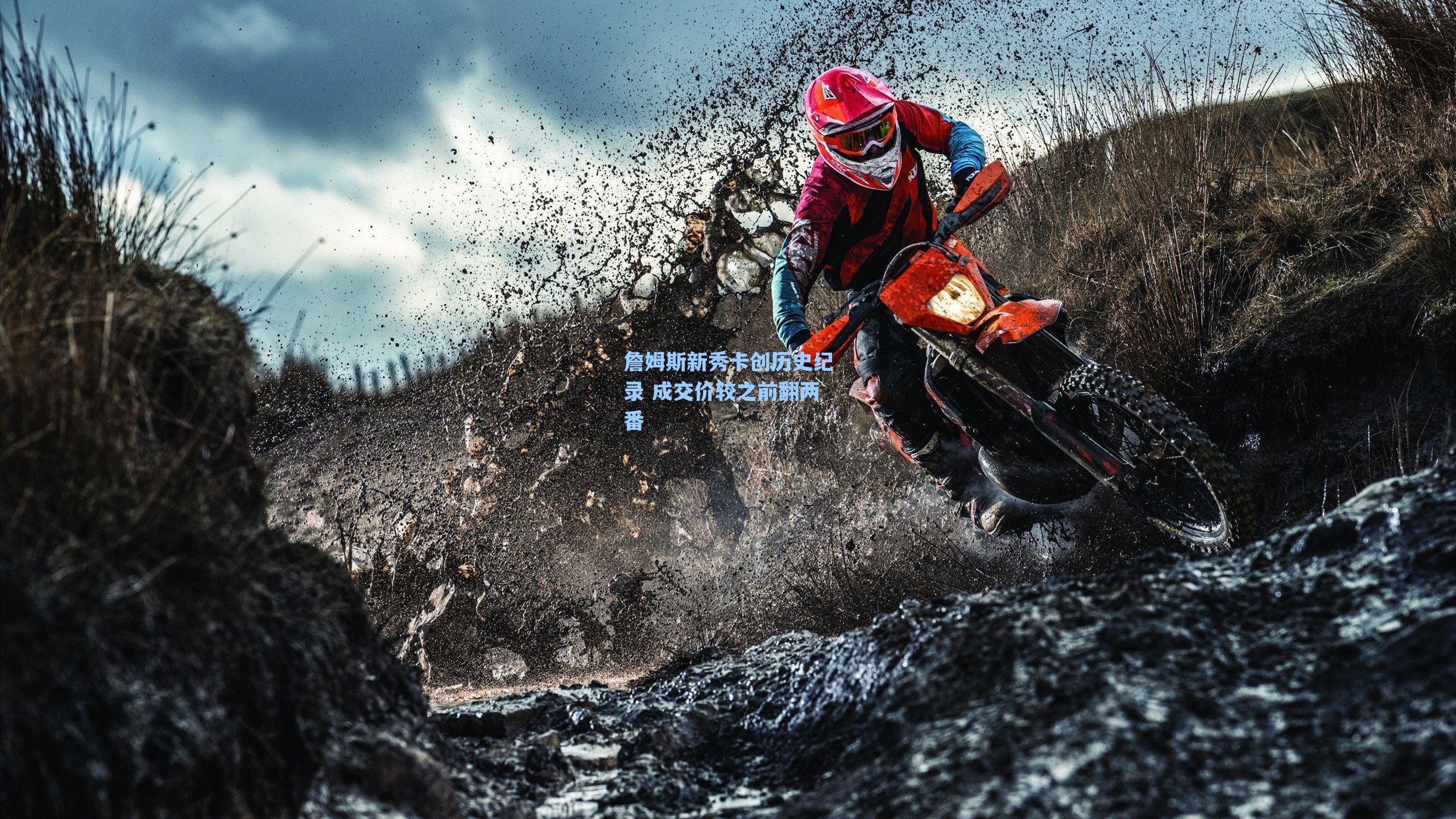 詹姆斯新秀卡创历史纪录 成交价较之前翻两番